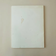 The Solomon R. Guggenheim Museum Guide