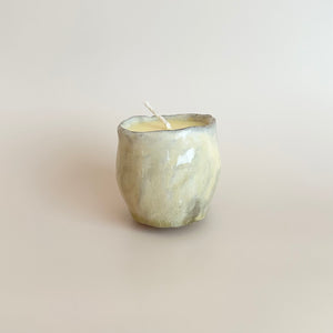 Earth Tallow Candle